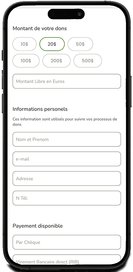 Donation System in action
